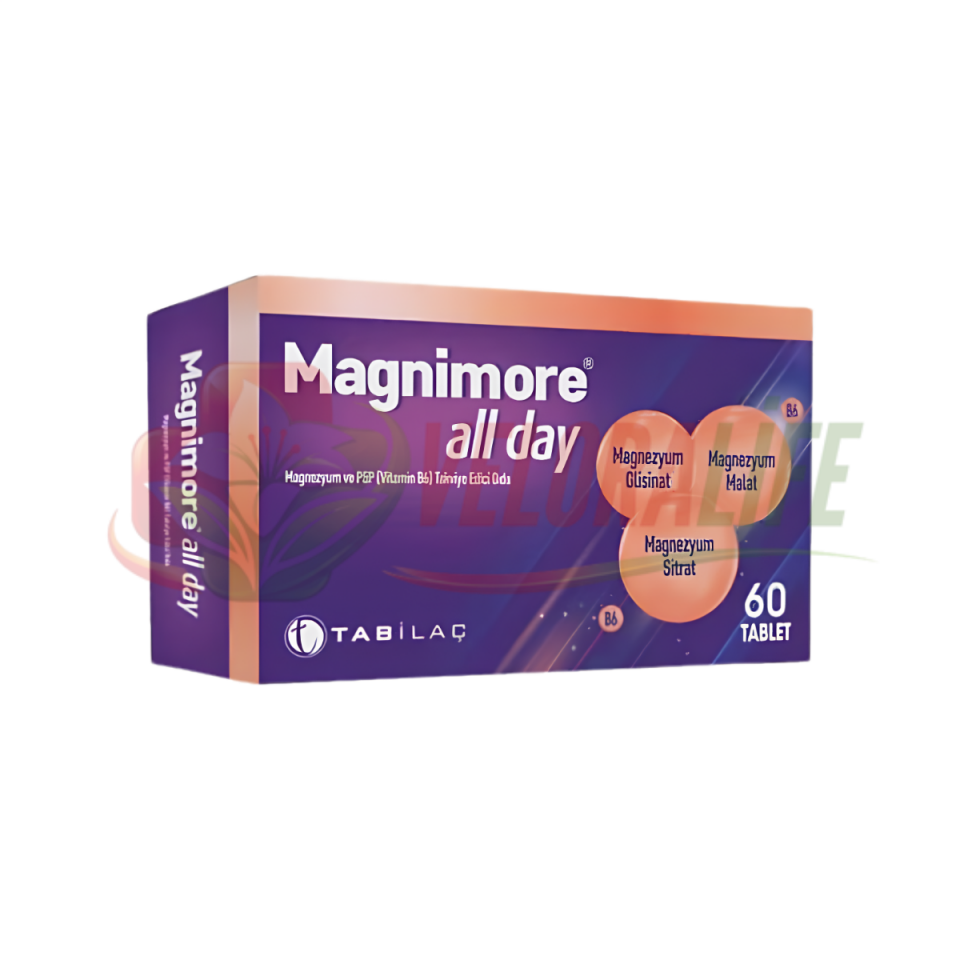 Magnimore All Day 60 Tablet